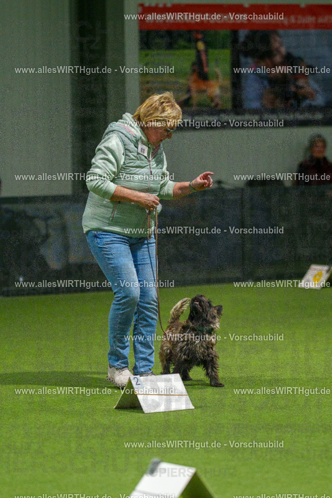 7R508497 | Professionelle Tierfotografie in Mönchengladbach von Daniel Wirth (allesWIRTHgut). Liebevolle & natürliche Bilder von Hunden & Katzen für unvergessliche Erinnerungen.