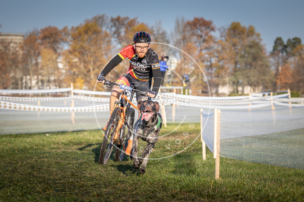 CaniXpix_0L8A4143 | Hundefotografie, Tierfotograf, Pfotenfotografie, Fotoshooting Hund, Hunde Portrait, Hundesport, Hundeportraits, Heideshooting, Hunde, Sportfotograf, Hundefotograf, Turnierhundsport, THS,  - Realisiert mit Pictrs.com