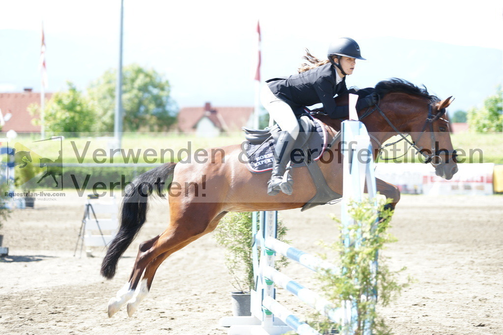 DSC05960 | equestrian-live-com