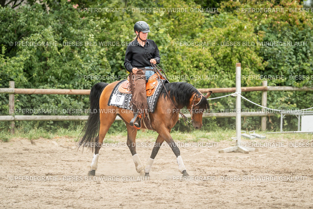 DSC04354 | Pferdegrafie