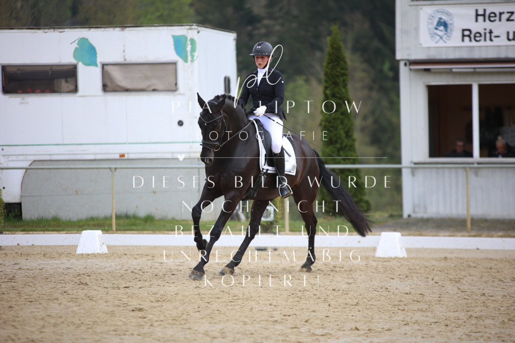 IMGT6212 | pl-fotografie