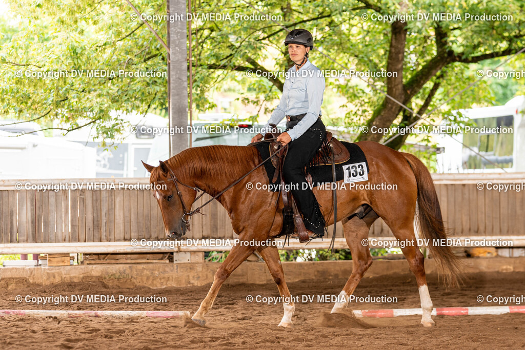 Erbach Tag 1-291 | dv-media-shop - Realisiert mit Pictrs.com