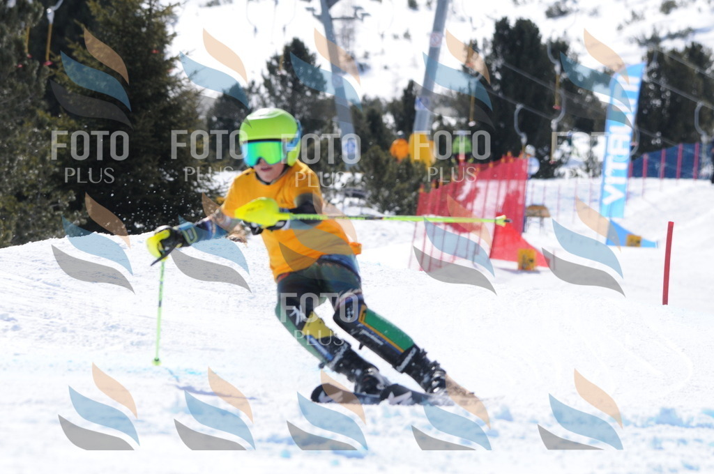 C9296 | holidayphoto