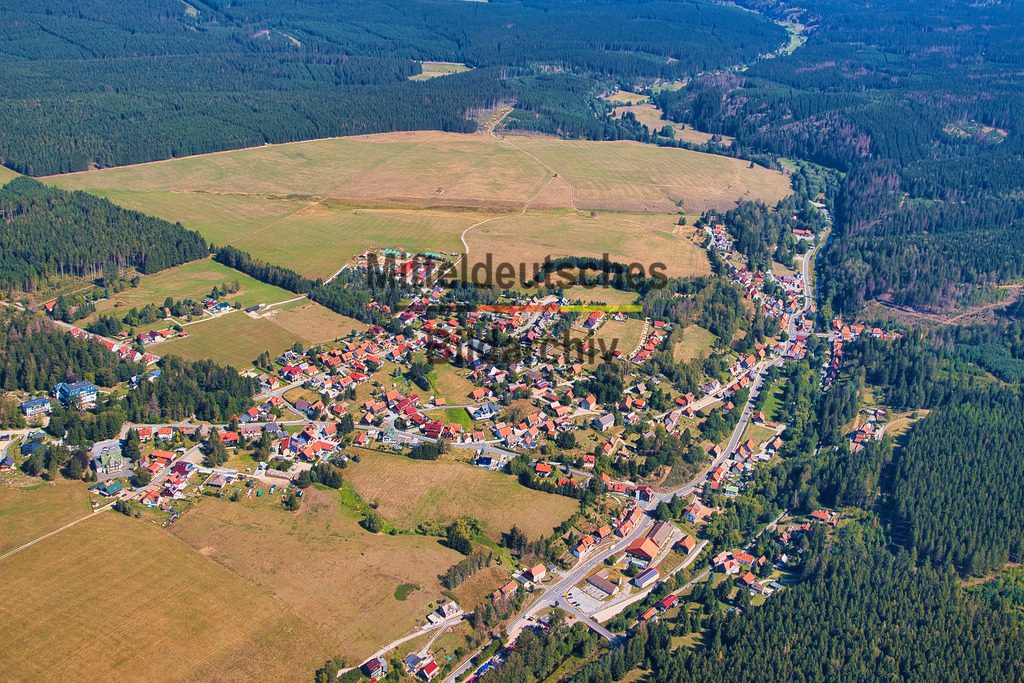 Tanne_Harz_8198 | Tanne im Harz - Realisiert mit Pictrs.com