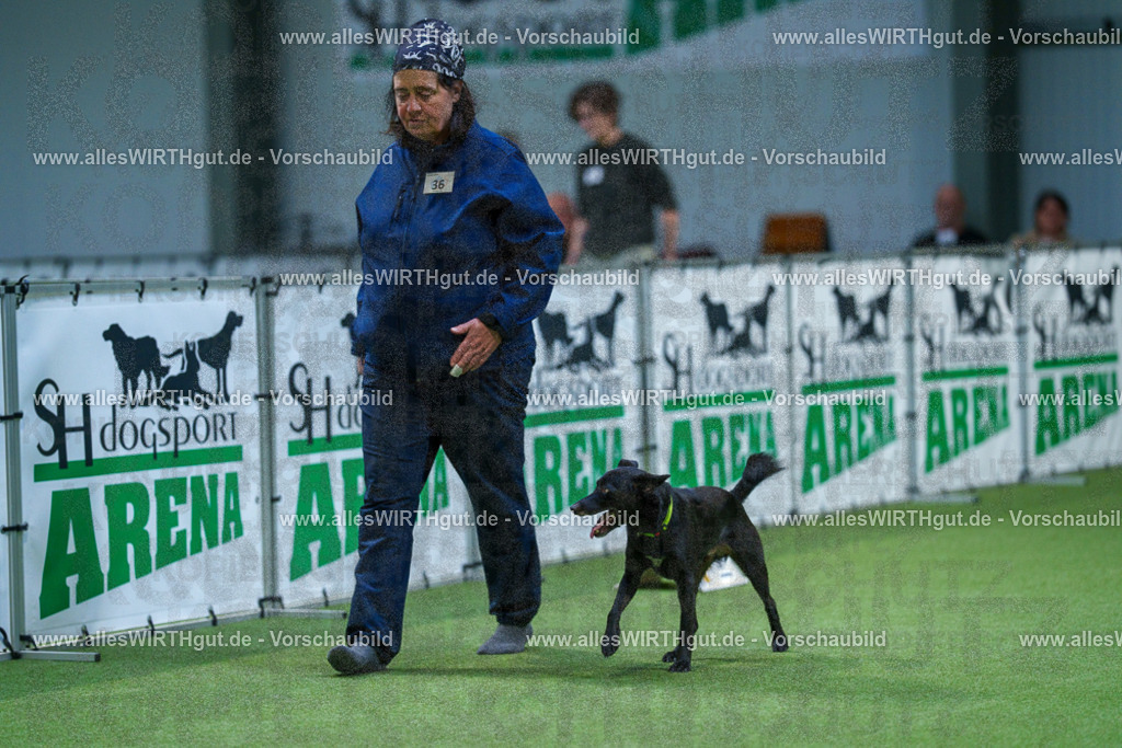 7R505989 | Professionelle Tierfotografie in Mönchengladbach von Daniel Wirth (allesWIRTHgut). Liebevolle & natürliche Bilder von Hunden & Katzen für unvergessliche Erinnerungen.