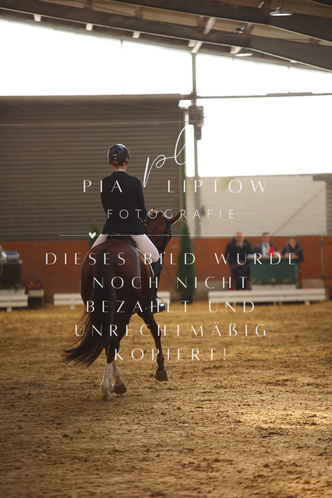 IMGT9879 | pl-fotografie