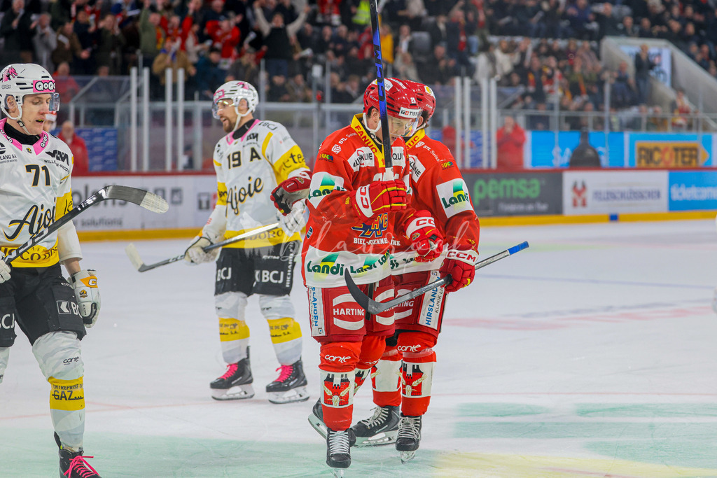 EHCB vs HCA 20260127_wb-9548 | Sportbilder, Sportfotograf, Hochzeits- und Eventfotografin, Flugshows, Portraits und Tiershooting, Aviation, Downhill, Nationalleague, Swissleague, International