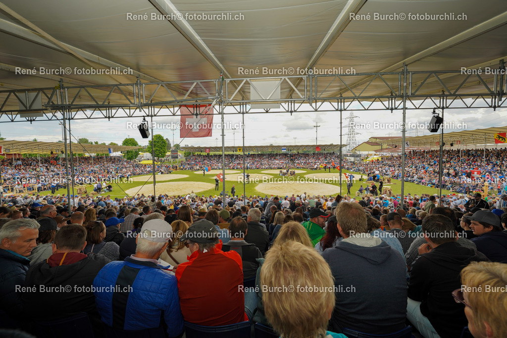 20220529-DSC08420 | René Burch leidenschaftlicher Fotograf aus Kerns in Obwalden.  Hier finden sie Sport, Landschaft und Natur Fotografie.
 - Realisiert mit Pictrs.com