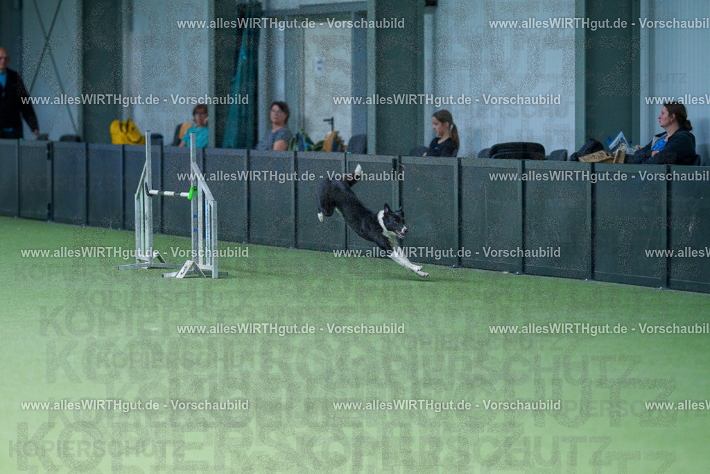 @allesWIRTHgut_Tierfotografie - www.allesWIRTHgut.de - 2604261135-7R509869 | Professionelle Tierfotografie in Mönchengladbach von Daniel Wirth (allesWIRTHgut). Liebevolle & natürliche Bilder von Hunden & Katzen für unvergessliche Erinnerungen.