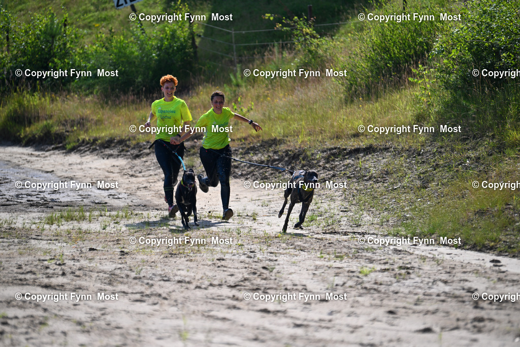 DSC_4716 | Hallo und herzlich Willkommen auf meiner Shop-Seite Fynn Most.

Ich wünsche Dir viel Spaß beim stöbern durch die Bilder, wenn Du Fragen hast oder Bilder vermisst, kannst du mir gerne eine Nachricht schreiben. - Realisiert mit Pictrs.com