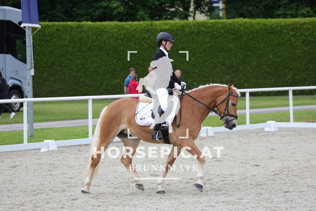 0P6A5213 | Willkommen bei Brunnmayr - Design & Fotografie – Ihrem Spezialisten für Reitturniere und Pferdeveranstaltungen in Oberösterreich, Salzburg und Bayern! Seit über 17 Jahren sind wir leidenschaftlich dabei.