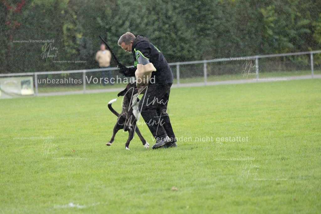 _16A7168 | Einzigartige Fotos von Hunden & Menschen –Actionfotos, Portraits, Vereinsaufnahmen & Paarshootings – authentisch, lebendig & mit Herz.