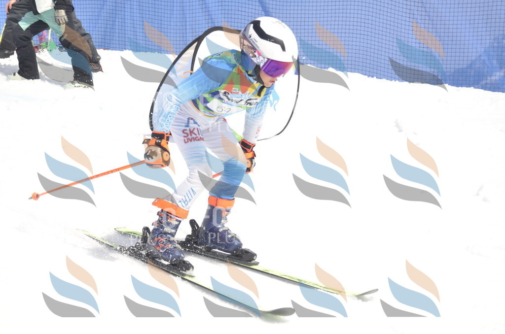 _ELE9103 | holidayphoto