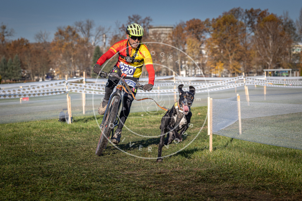 CaniXpix_0L8A4632 | Hundefotografie, Tierfotograf, Pfotenfotografie, Fotoshooting Hund, Hunde Portrait, Hundesport, Hundeportraits, Heideshooting, Hunde, Sportfotograf, Hundefotograf, Turnierhundsport, THS,  - Realisiert mit Pictrs.com