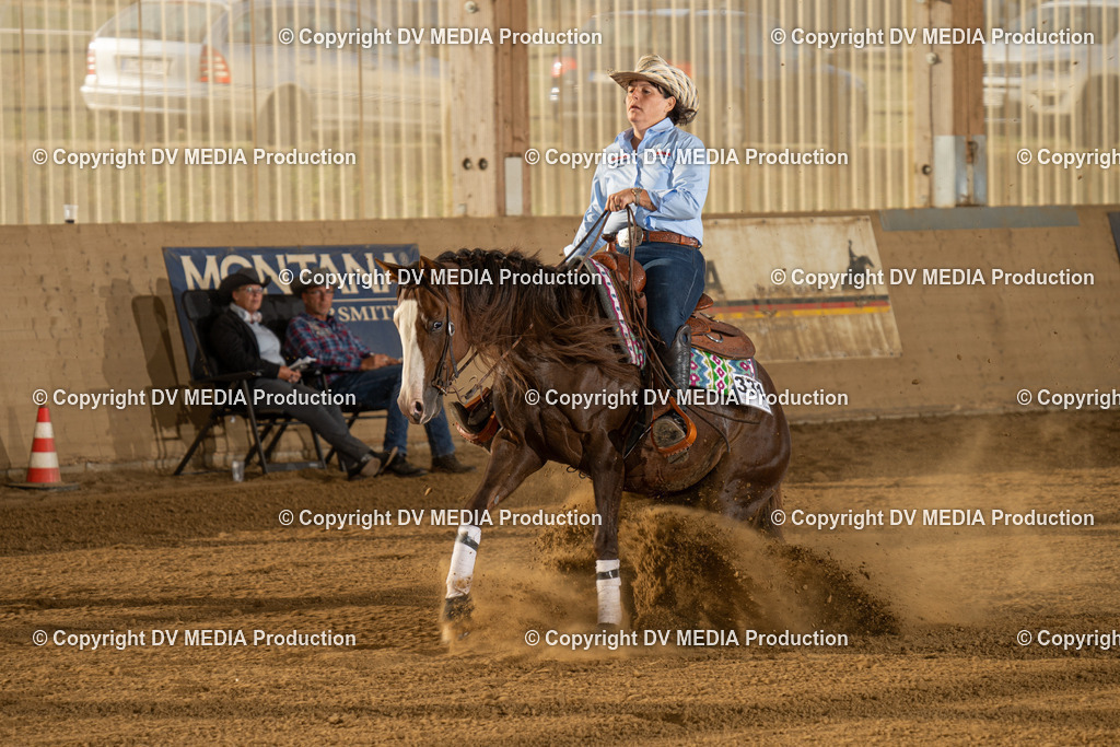 LAU01944 | dv-media-shop - Realisiert mit Pictrs.com