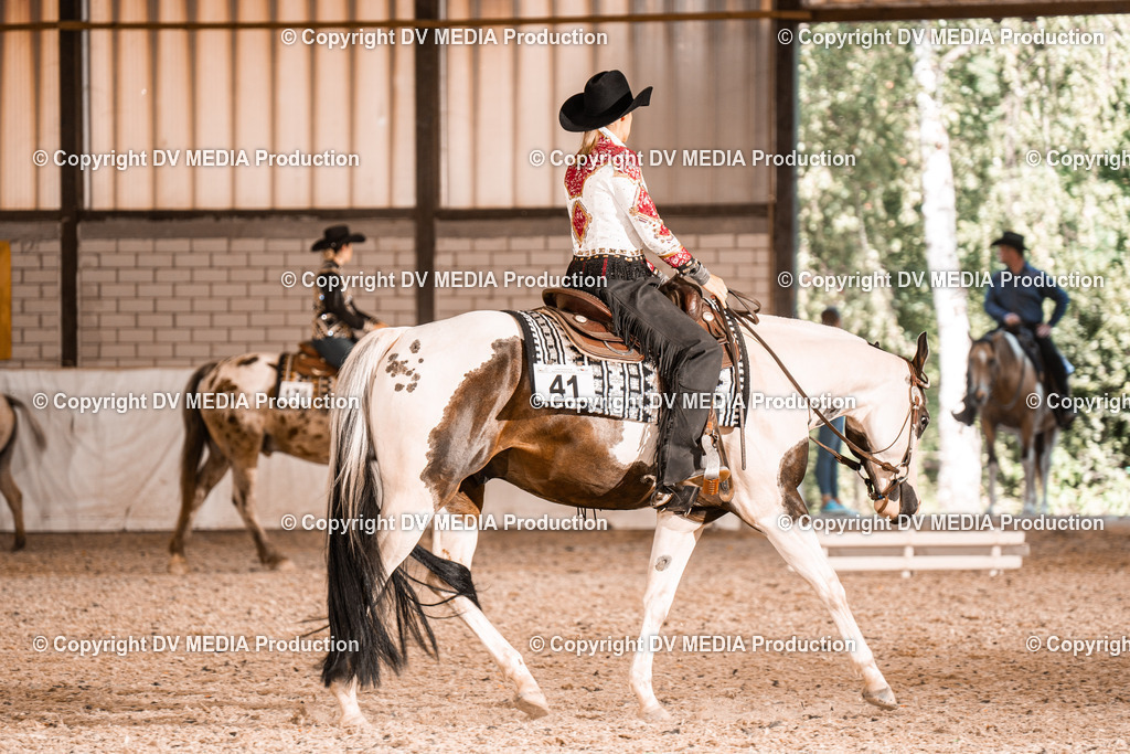 ZH100166 | dv-media-shop - Realisiert mit Pictrs.com