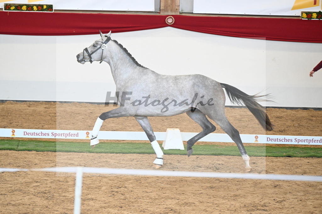 Kat.-Nr. 72 v. Johnson_Lehner_2250627 | hf-fotografie - Realisiert mit Pictrs.com