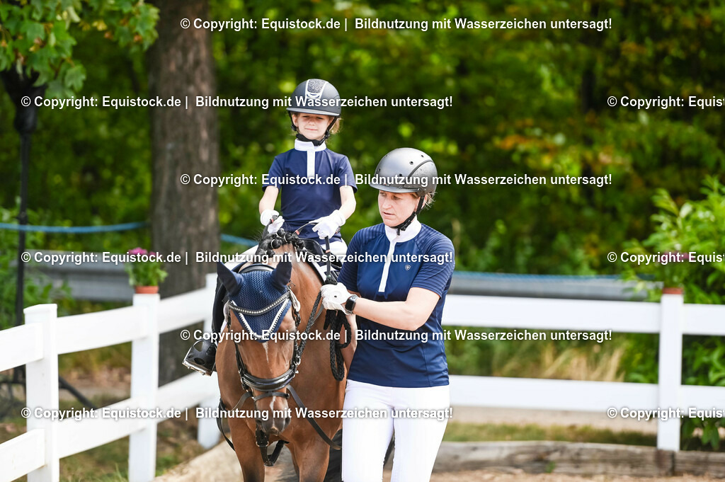 20230716_11_Führzügel-WB_0198 | equistock