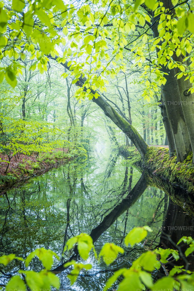 _1034899 | thowehey - Realized with Pictrs.com