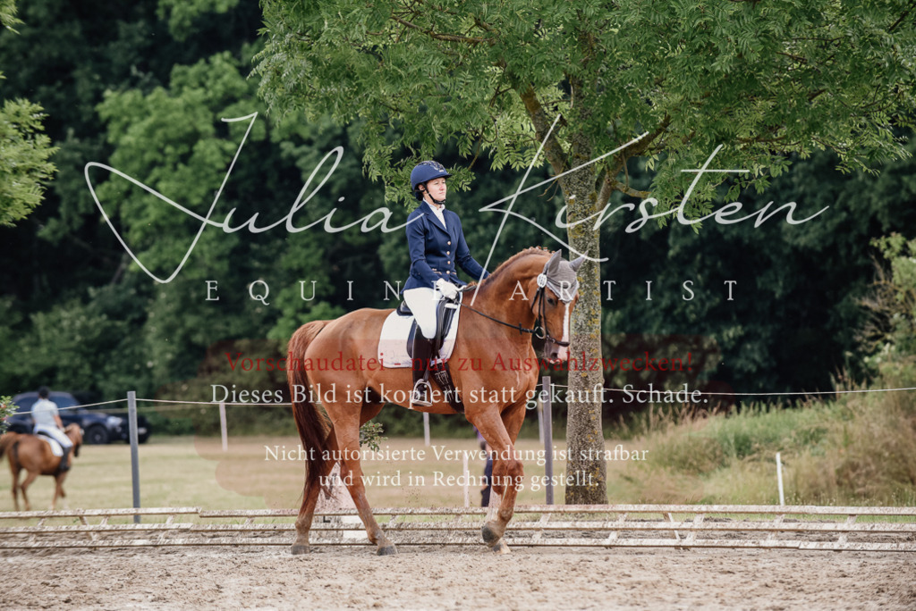 DSC_9910 | Pferde- und Turnierfotografie in Westsachsen. Pferdeportraits, Auftragszeichnungen und intuitive Kunst.
