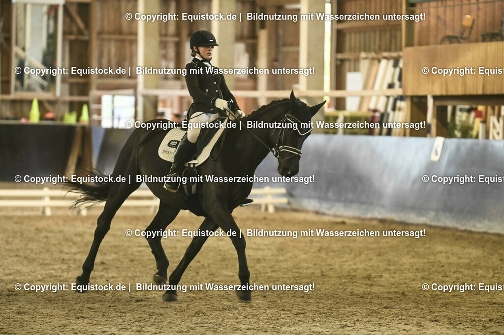 20231029_05_Dressur-A_0113 | Foto: Thomas Hartig