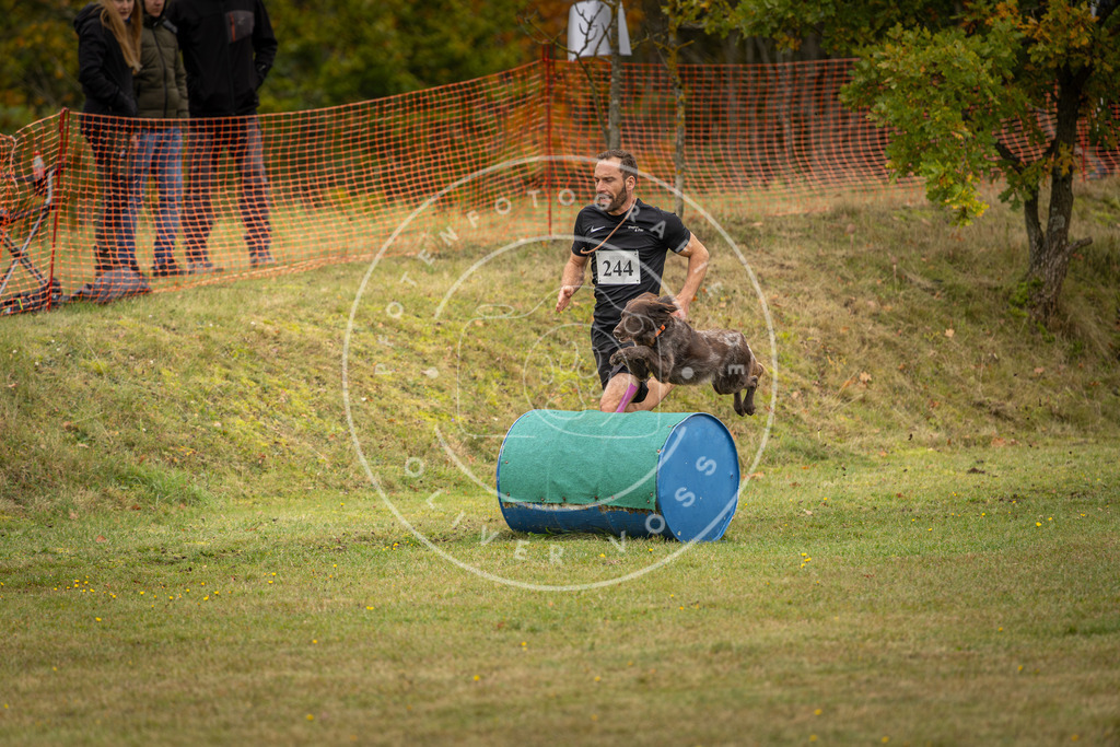 Pfotenfotografie_DV3A5956 | Hundefotografie, Tierfotograf, Pfotenfotografie, Fotoshooting Hund, Hunde Portrait, Hundesport, Hundeportraits, Heideshooting, Hunde, Sportfotograf, Hundefotograf, Turnierhundsport, THS,  - Realisiert mit Pictrs.com