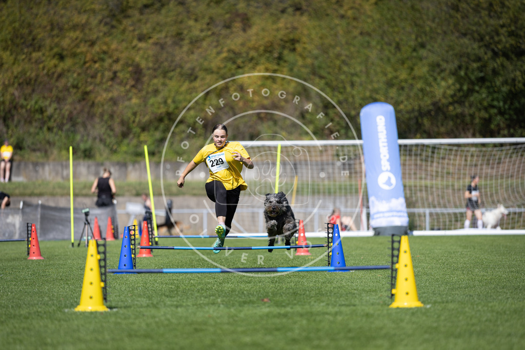Pfotenfotografie_DV3A7788 | Hundefotografie, Tierfotograf, Pfotenfotografie, Fotoshooting Hund, Hunde Portrait, Hundesport, Hundeportraits, Heideshooting, Hunde, Sportfotograf, Hundefotograf, Turnierhundsport, THS,  - Realisiert mit Pictrs.com