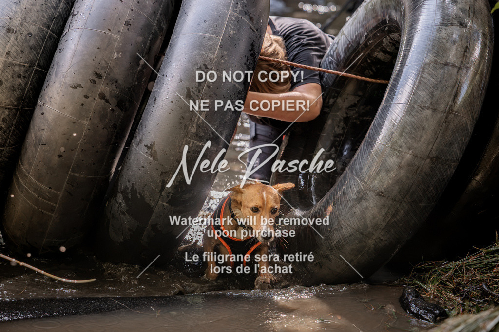 nelerasche_Hunsrück2026_Sa1400-1500_408 | nelerasche