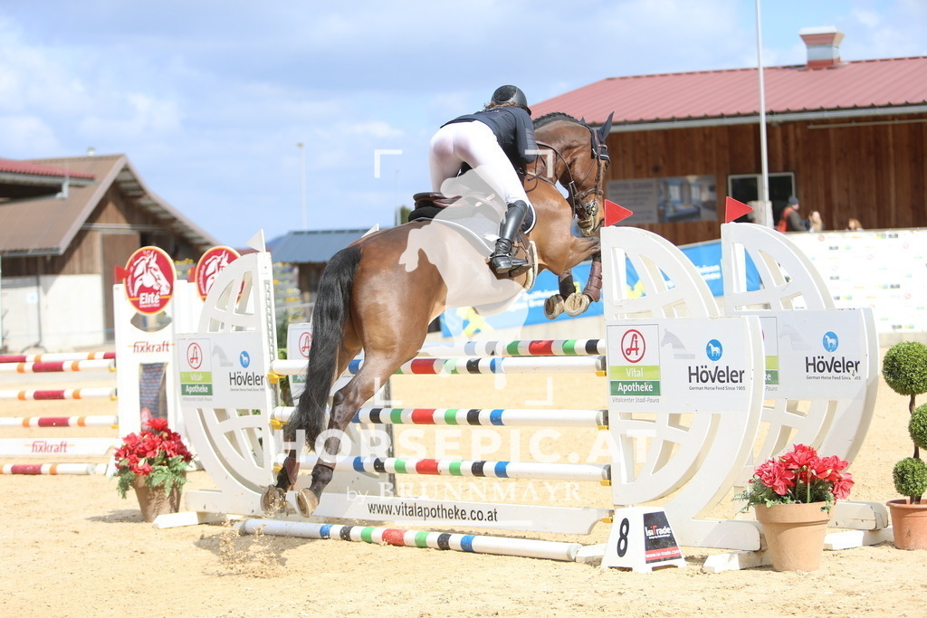 DL2Q9411 | Willkommen bei Brunnmayr - Design & Fotografie – Ihrem Spezialisten für Reitturniere und Pferdeveranstaltungen in Oberösterreich, Salzburg und Bayern! Seit über 17 Jahren sind wir leidenschaftlich dabei.