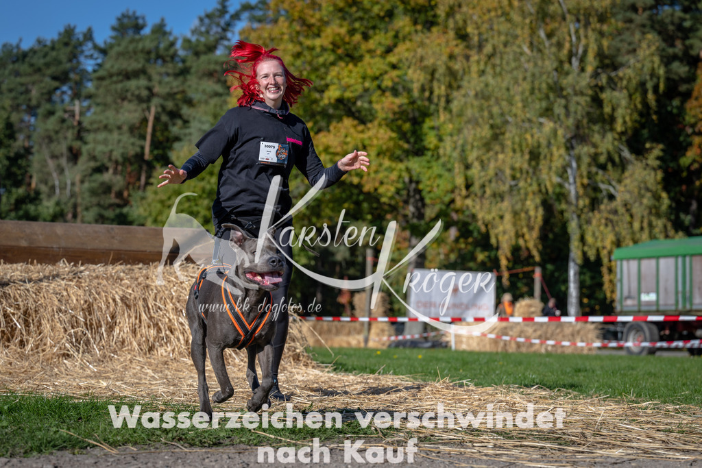 1131_ZZ90533 | kk-dogfotos