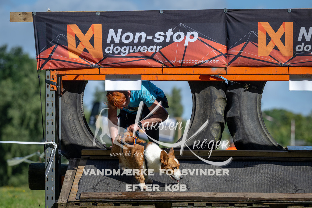 1053_ZZ91605 | kk-dogfotos