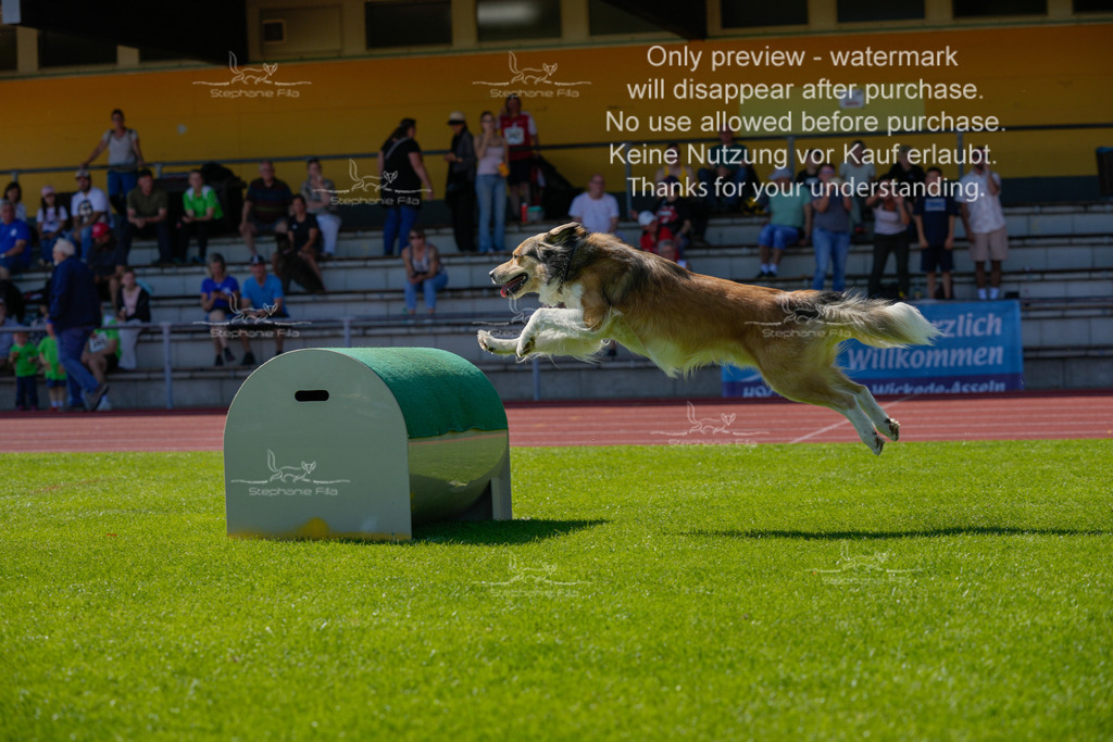 Sonntag_VK Hindernis (602 von 671) | stephaniefillaphotographie - Realisiert mit Pictrs.com