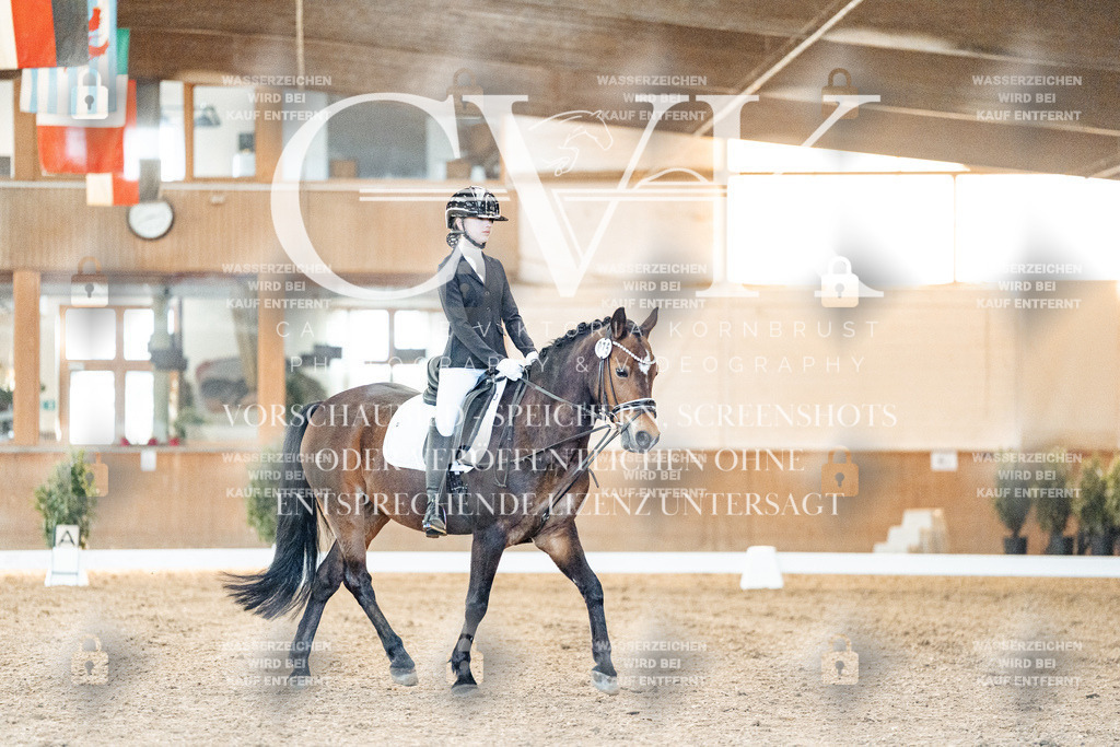 CK906564 | Turnierfotografie Pferdefotografie Trier Rheinland-Pfalz Pferdesport Reitsport Tierfotografie Sportfotografie Pferdevideo Pferdevideografie Equestrianvideography equestrianphotography  - Realisiert mit Pictrs.com