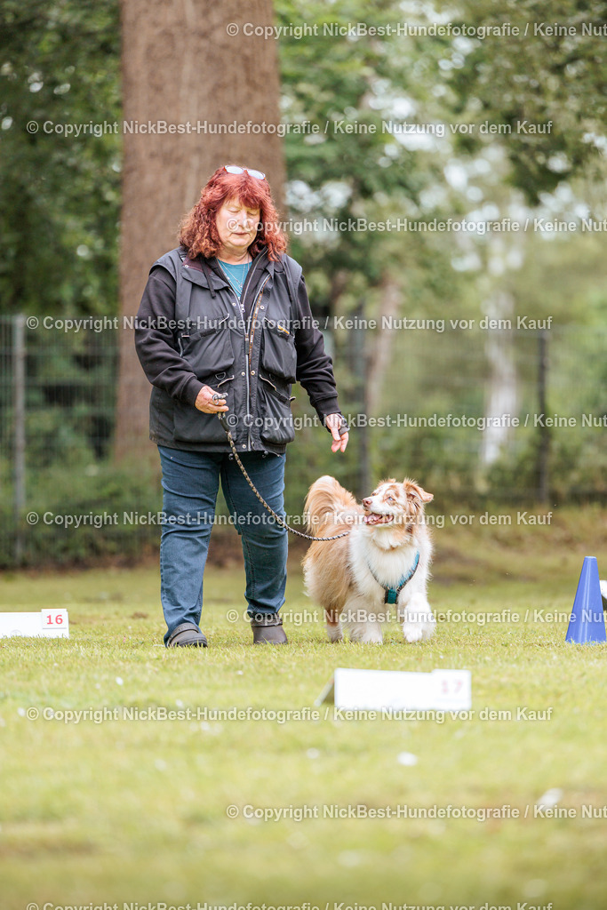 RO-Blumenthal-2026-Nickbest-Hundefotografie-3231 | Dein Hund! Dein Moment! Deine Erinnerungen! Hundefotografie in Bremen Blumenthal. Ich fange die besonderen Momente deines Vierbeiners ein – ob Indoor mit Blitzanlage oder in der freien Natur. Sicher dir dein Moment und dein Termin für eure Erinnerungen.