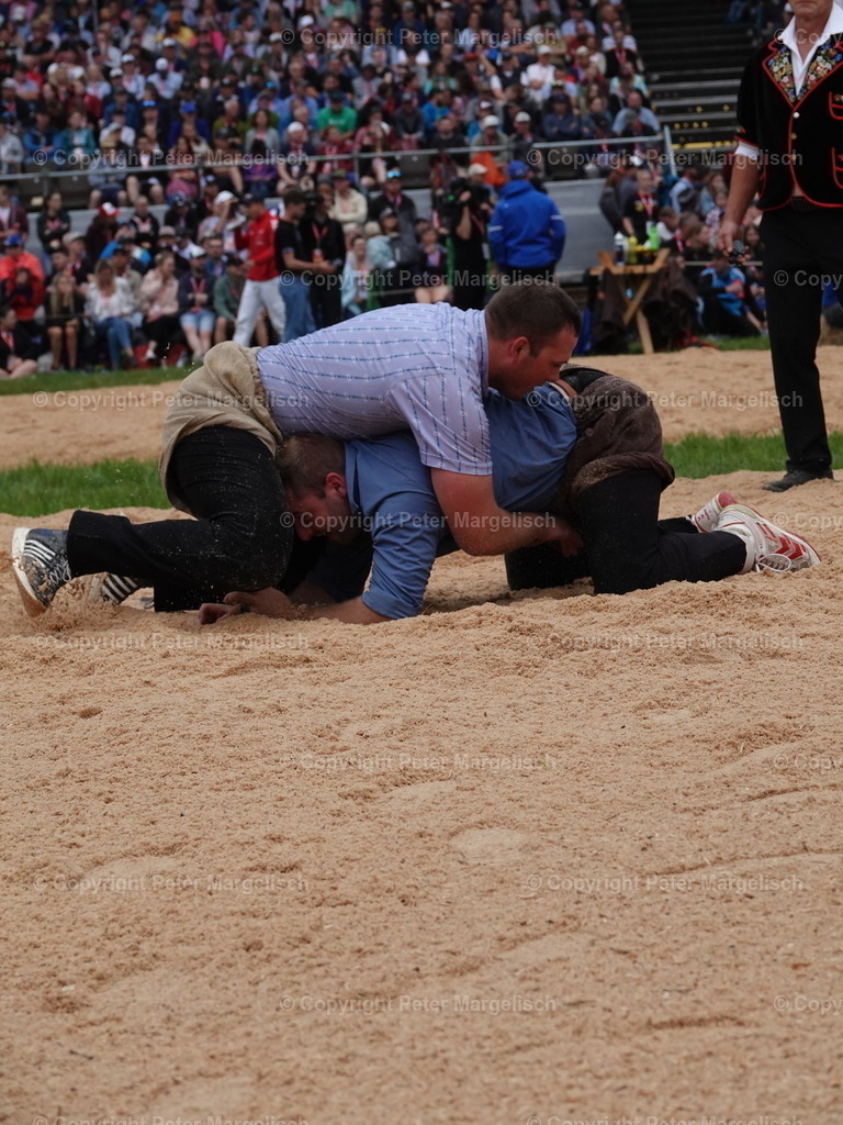 DSC04835 | Schwingen - Realisiert mit Pictrs.com