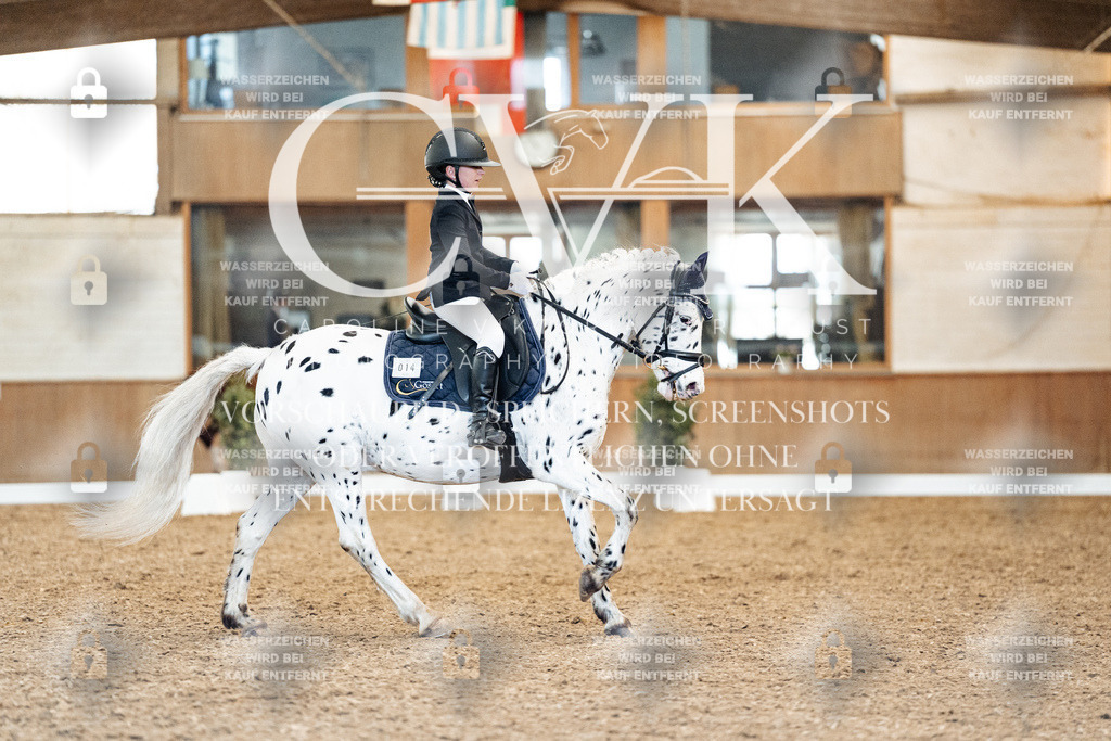 CK908959 | Turnierfotografie Pferdefotografie Trier Rheinland-Pfalz Pferdesport Reitsport Tierfotografie Sportfotografie Pferdevideo Pferdevideografie Equestrianvideography equestrianphotography  - Realisiert mit Pictrs.com