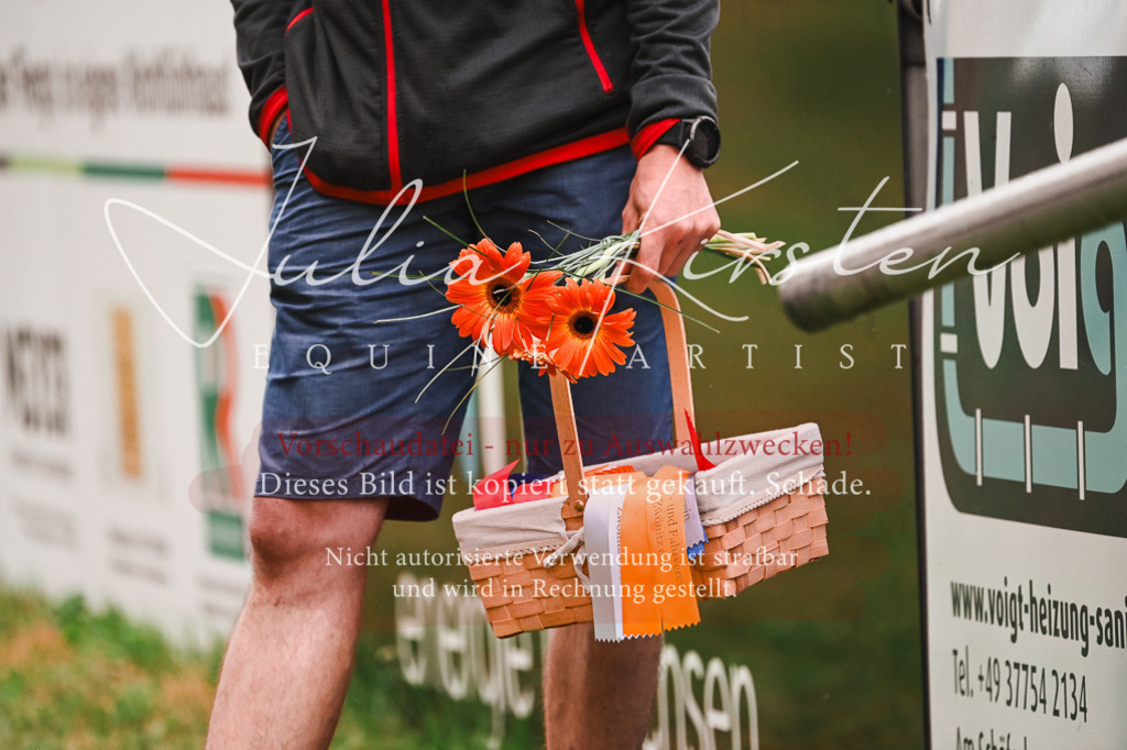 DSC_6659 | Pferde- und Turnierfotografie in Westsachsen. Pferdeportraits, Auftragszeichnungen und intuitive Kunst.