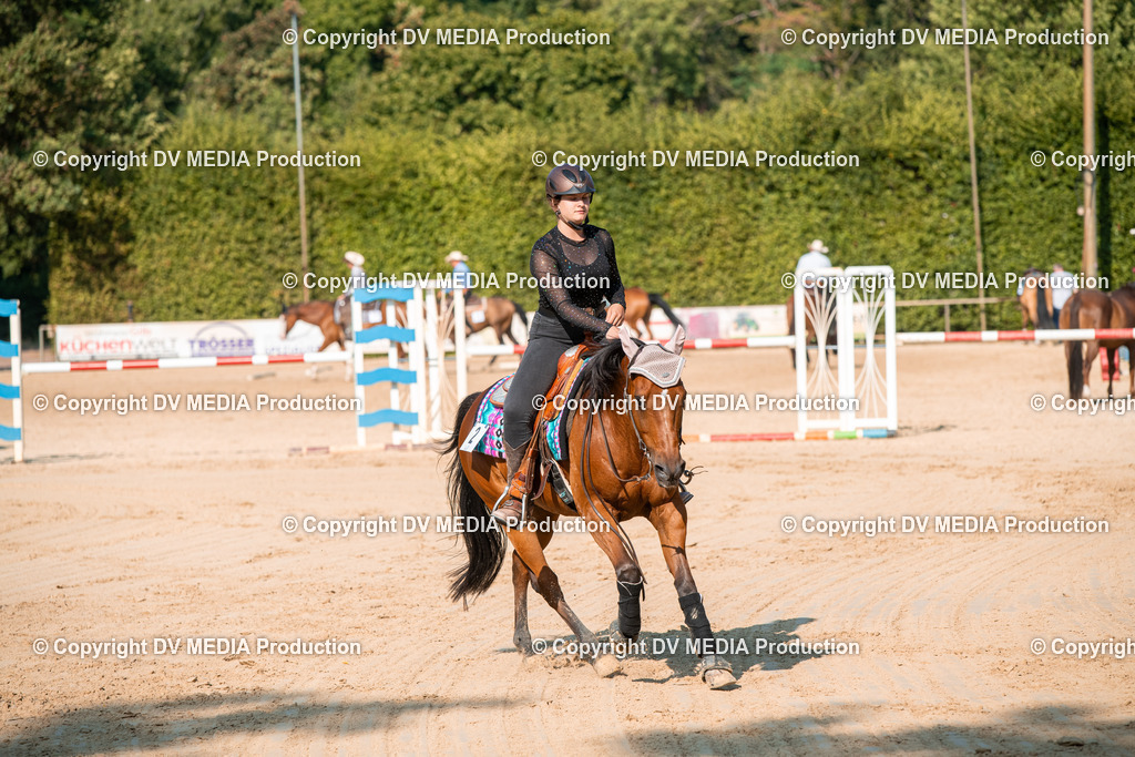 ZS2_8862 | dv-media-shop - Realisiert mit Pictrs.com