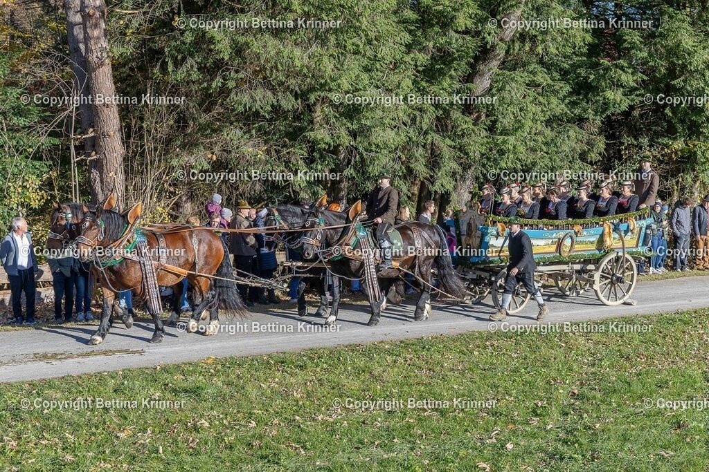 LBT25-297 | foto-bettina-krinner - Realisiert mit Pictrs.com