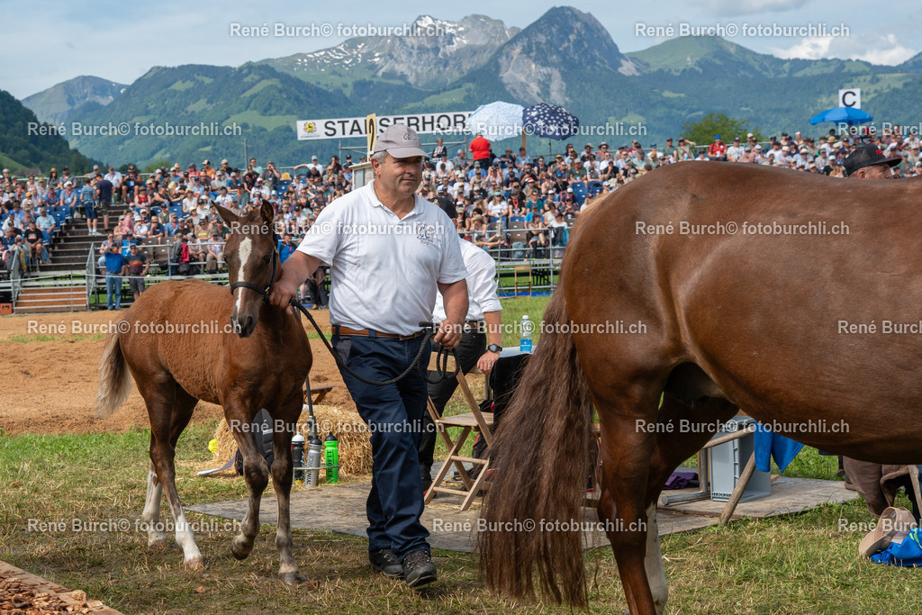 RB_02471 | René Burch leidenschaftlicher Fotograf aus Kerns in Obwalden.  Hier finden sie Sport, Landschaft und Natur Fotografie.
 - Realisiert mit Pictrs.com