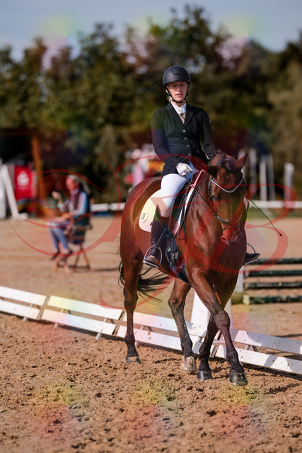 2026_10_03_Siefer-Hof_130744_Z81_58768017 | Professionelle Reitsport-, Turnier- und Eventfotografie von Robert Broda. Galerien mit ausgewählten und bearbeiteten Bildern direkt online ansehen und bestellen.