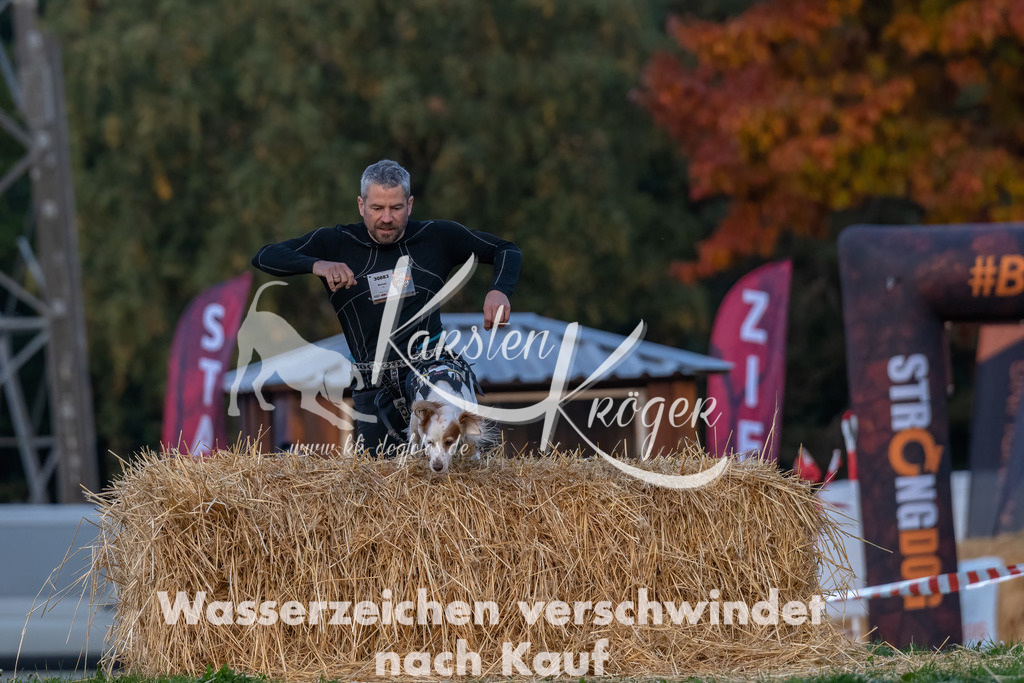 0819_ZZ90368-Bearbeitet | kk-dogfotos