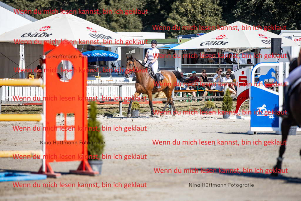 BK1A7914 | Turnierbilder Turnierfotos Nina Hüffmann Turnierfotografie Pferdefotografie Tierzeichnung Haustierzeichnung Pferdezeichnung Hundezeichnung Videograf  - Realisiert mit Pictrs.com