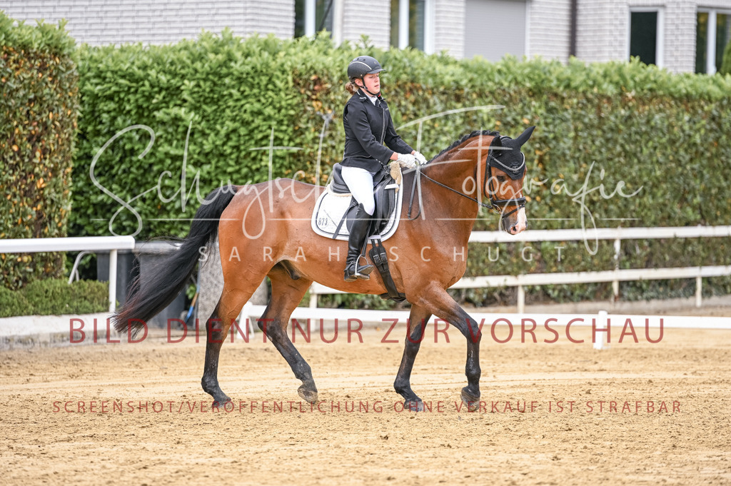 Schugtsche-Aluta25-43.EDressur -46 | Schugtsche Fotografie - Realisiert mit Pictrs.com