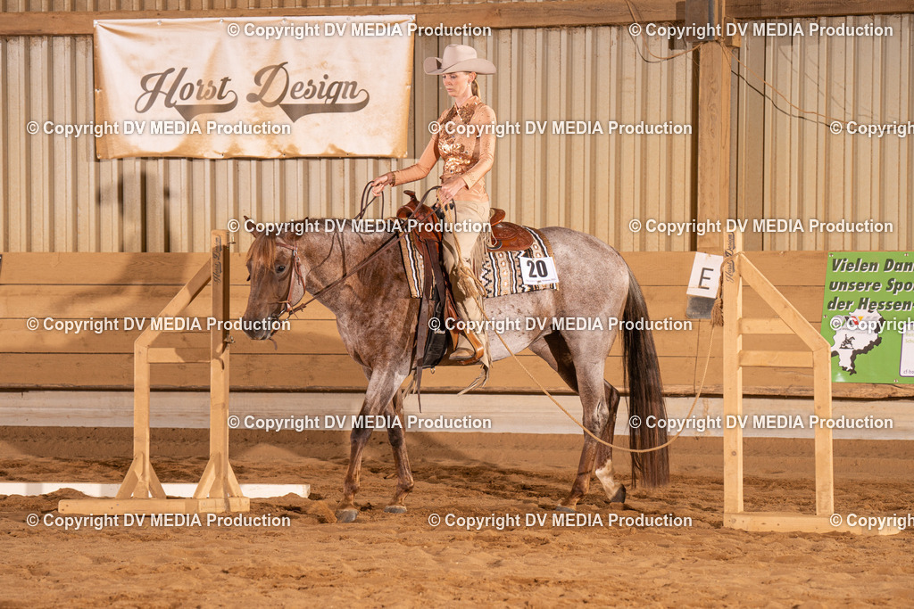 NID00826 | dv-media-shop - Realisiert mit Pictrs.com