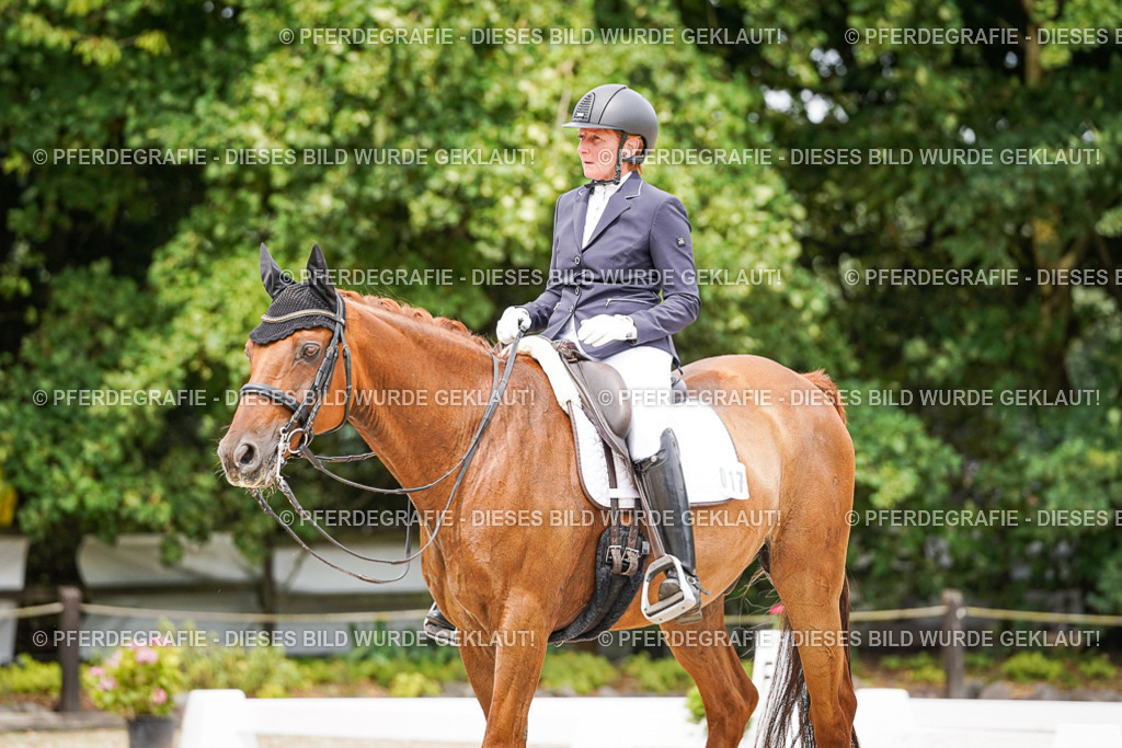 DSC05072 | Pferdegrafie