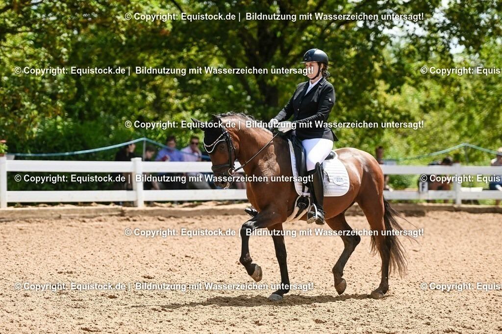 20230716_03_Dressurprfg. Kl.L - Tr._0128 | equistock