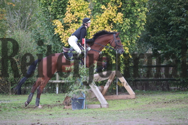 Altensteig_2024_Prfg.Nr.03_Stil-Geländeritt_Kl.A_Henrike Wacker_Acierant (10) | Alle Fotos der Reiterjournal Fotografin Doris Matthaes im Reiterjournal Online-Fotoshop. - Realizado com Pictrs.com