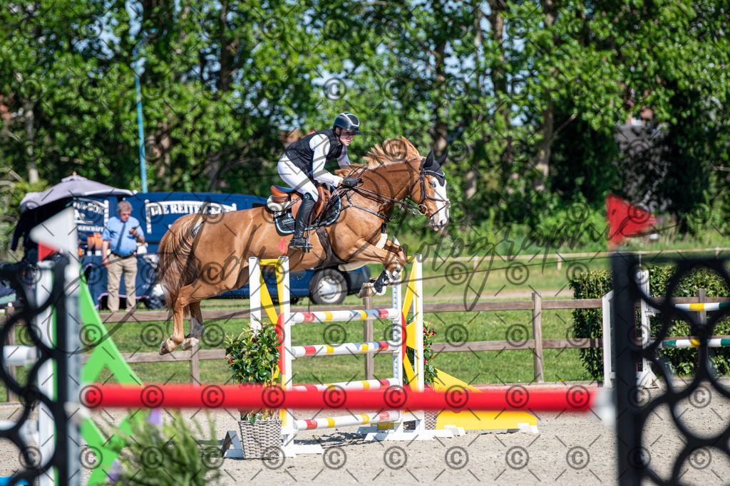 KPT_1609 | andre_photographic