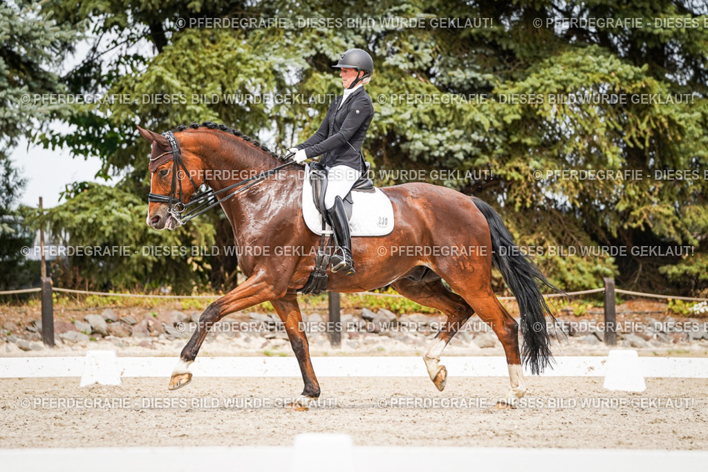 DSC06522 | Pferdegrafie